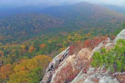 ouachita-national-forest.jpg