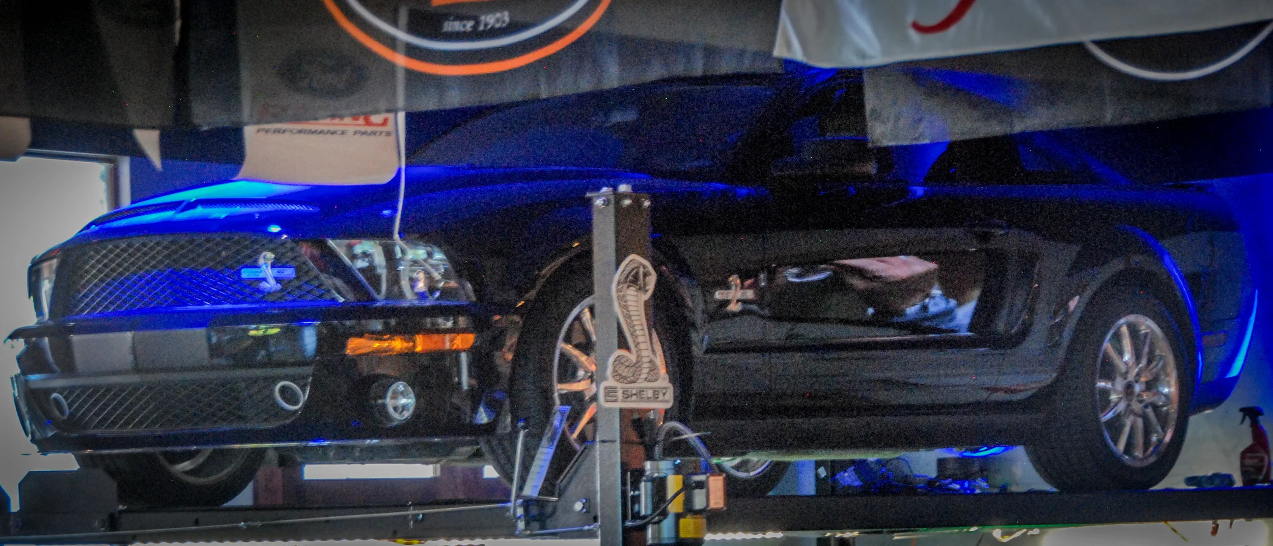 DSC_0028.jpg