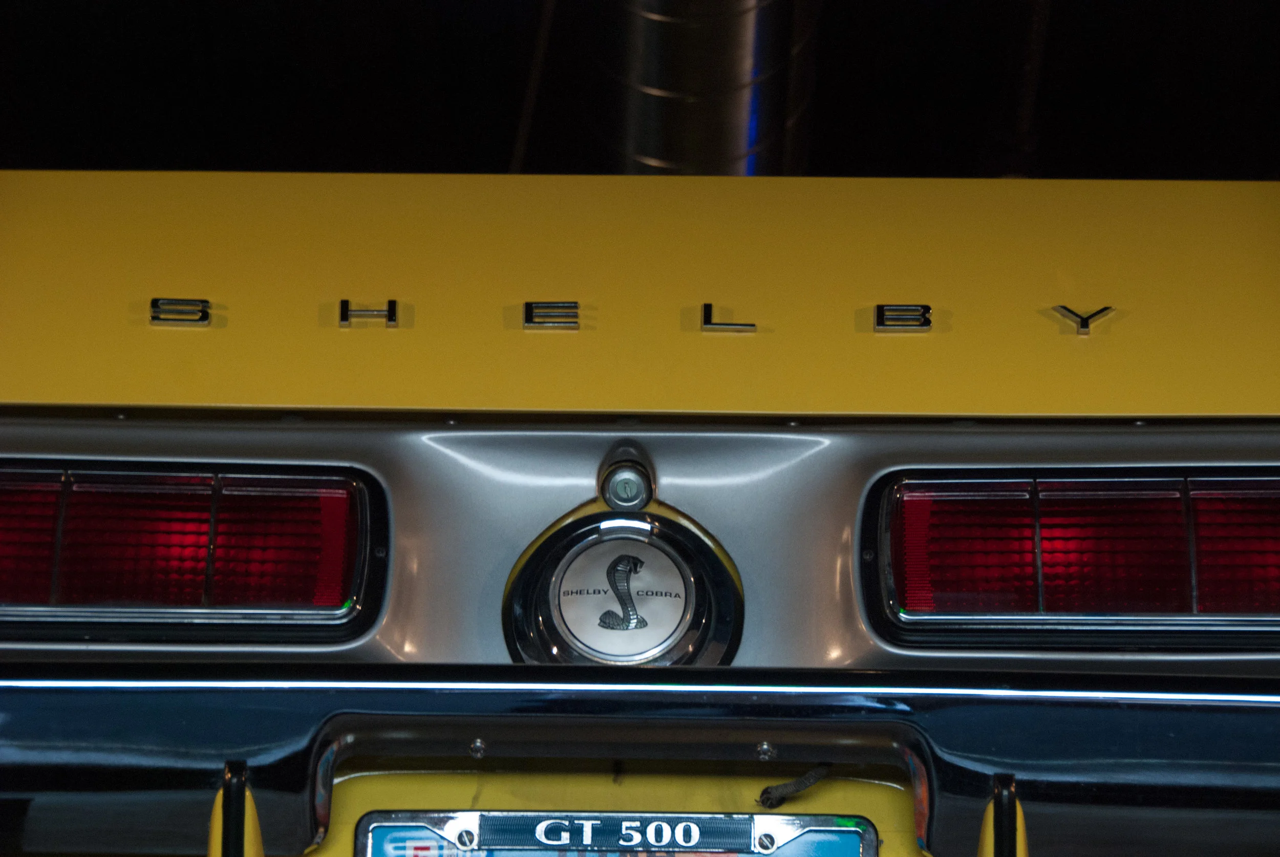 DSC_0138.jpg