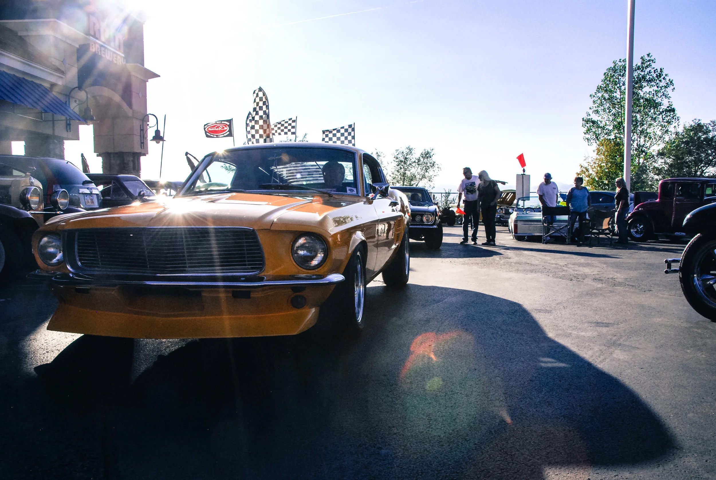 DSC_0041.jpg