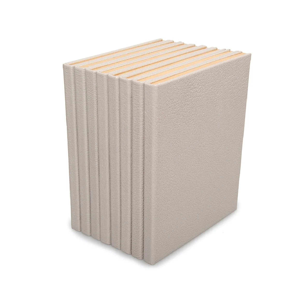 N8--PERSPECTIVE-SPINE-SQUARE.jpg