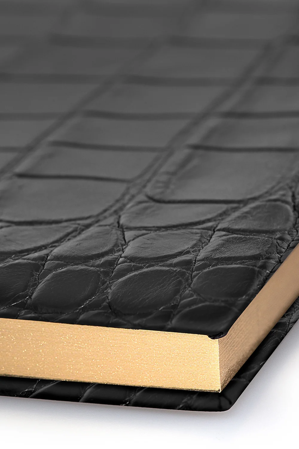 Crocodile_Leather_LargeBook_03.jpg