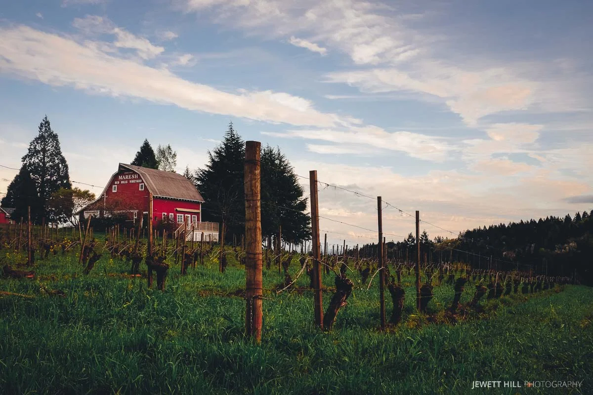 DUNDEE HILLS LEGACY: MARESH