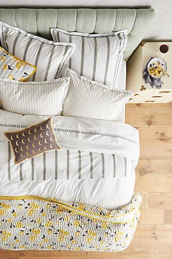Anthropologie