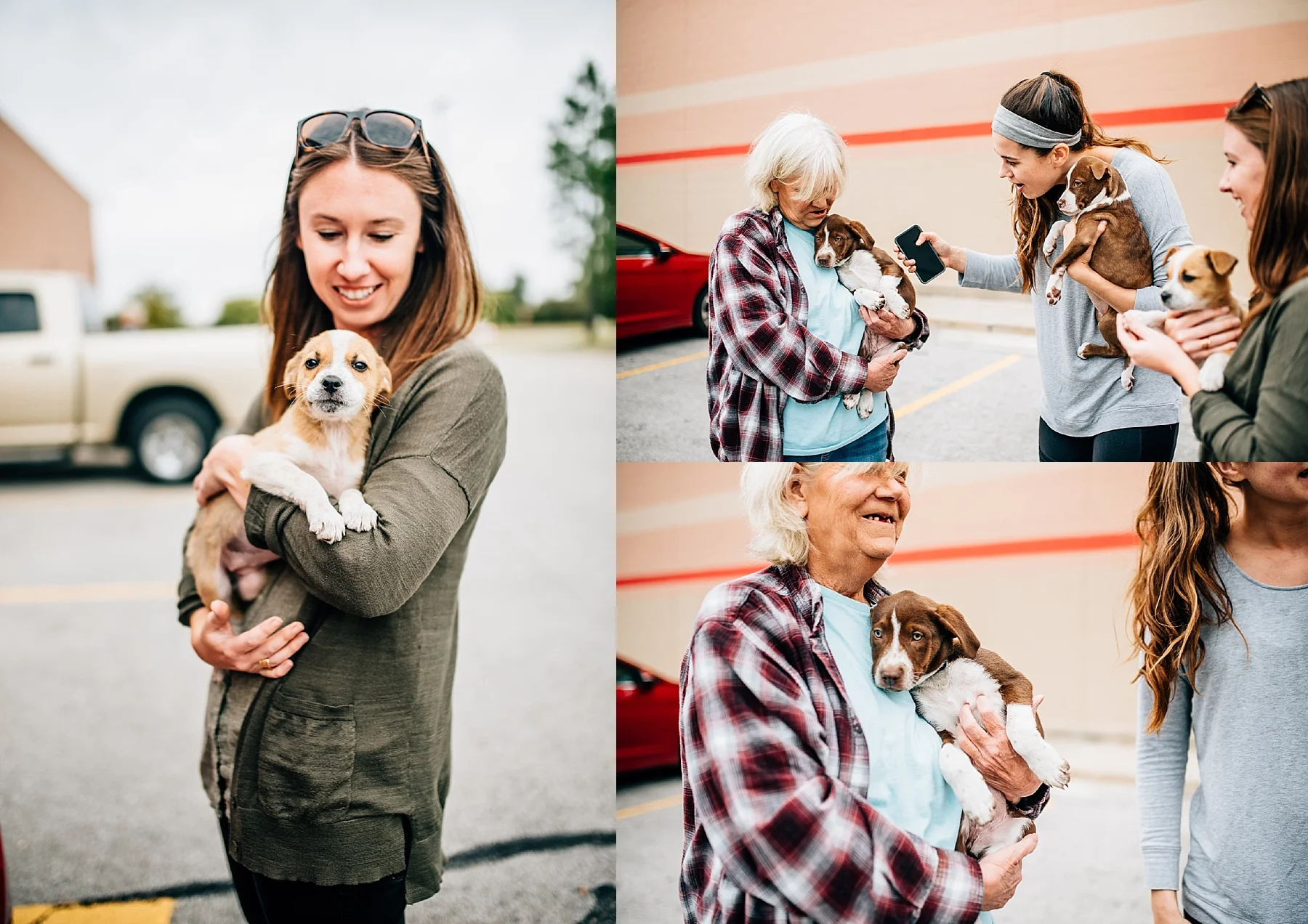 Skiatook Animal Rescue Oklahoma to Maine — Cait Bourgault
