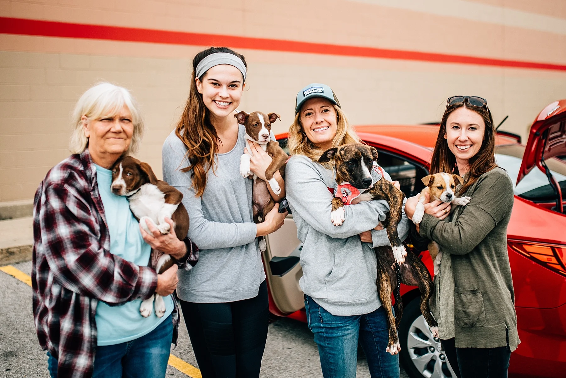 Skiatook Animal Rescue Oklahoma to Maine — Cait Bourgault