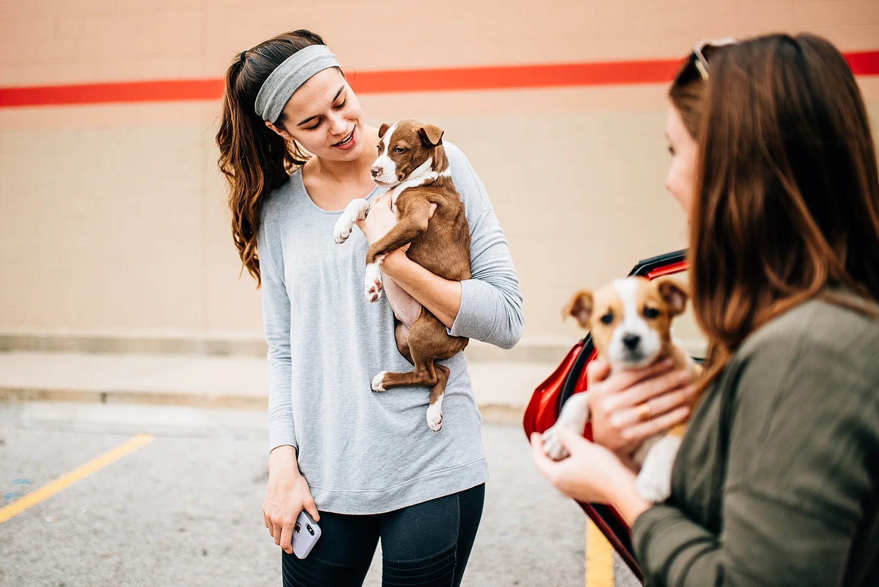 Skiatook Animal Rescue Oklahoma to Maine — Cait Bourgault