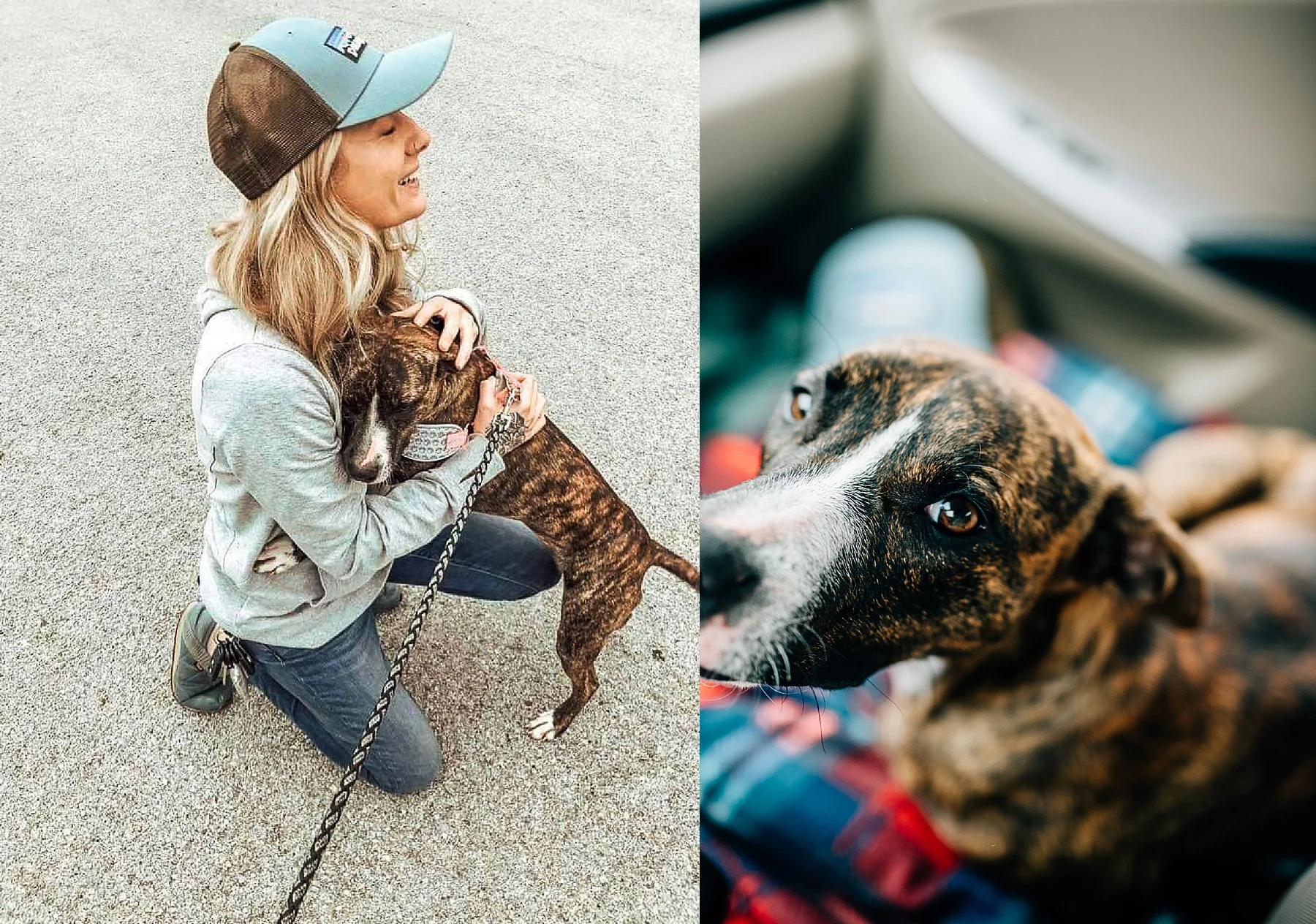 Skiatook Animal Rescue Oklahoma to Maine — Cait Bourgault