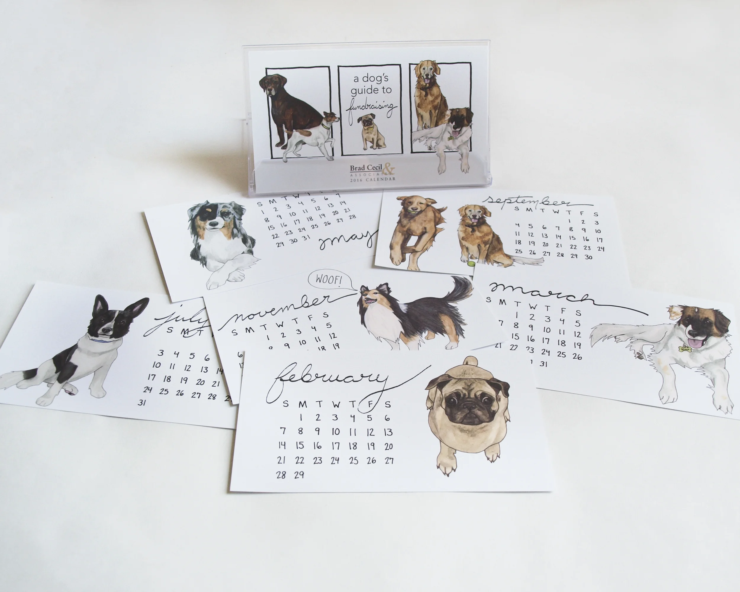 2016: A Dog's Guide to Fundraising