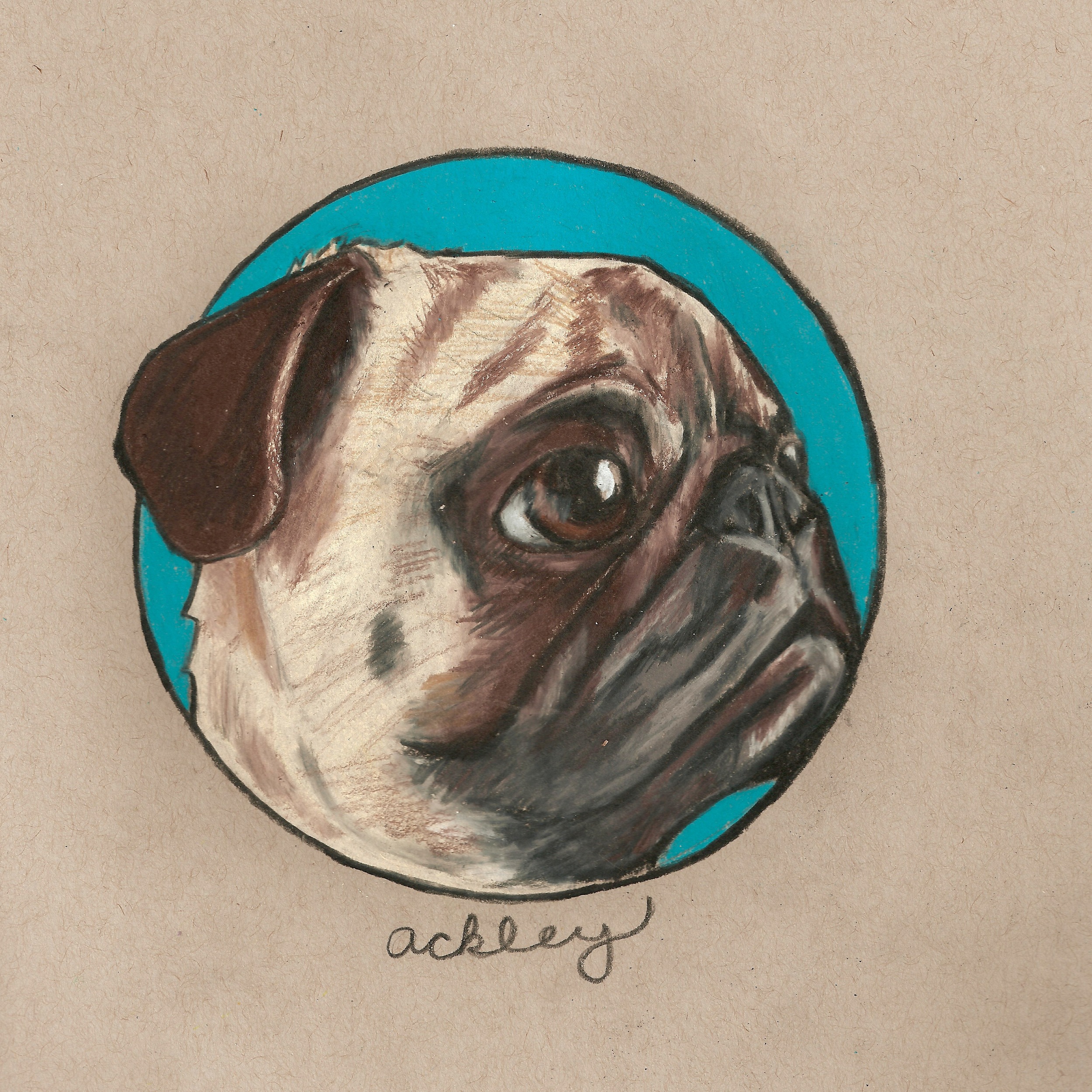 AckleyDrawing.jpeg
