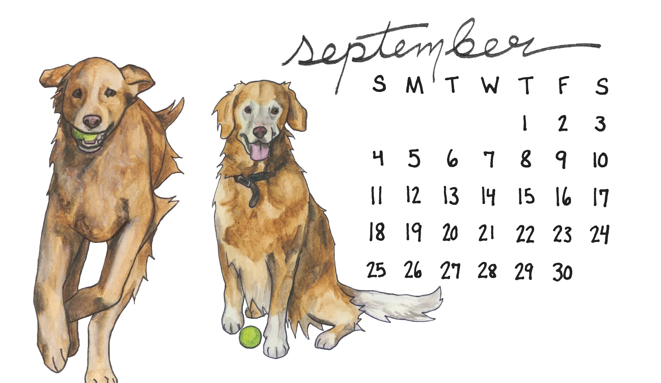 Calendar 2016-17.jpg