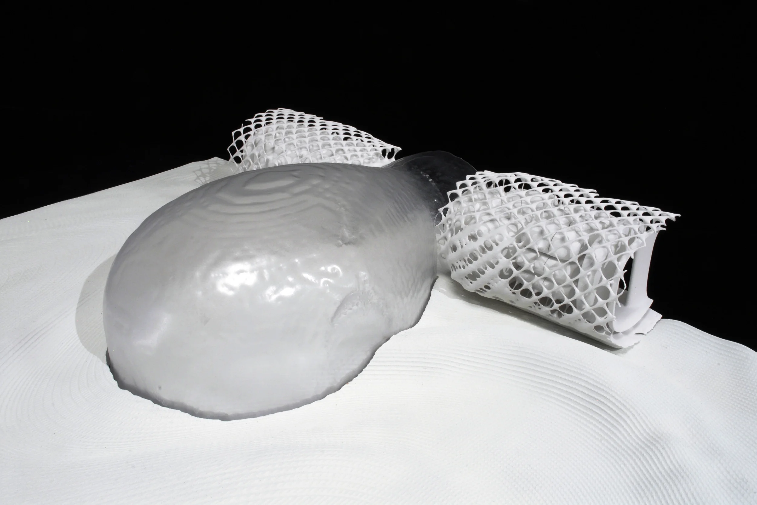 P2_10.jpg