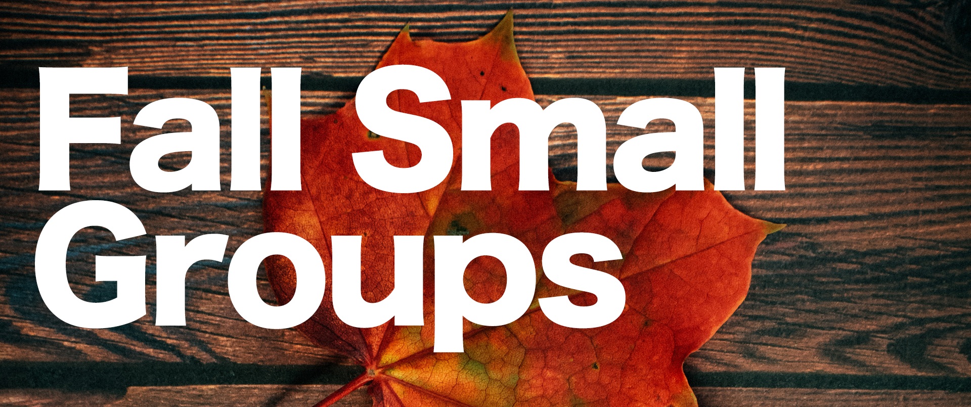 fall+small+group+1920x1080+v1.jpg