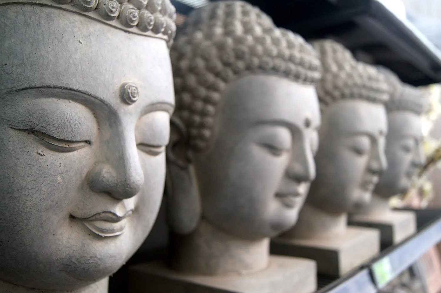 Incorporating Meditation with Egotistical Action