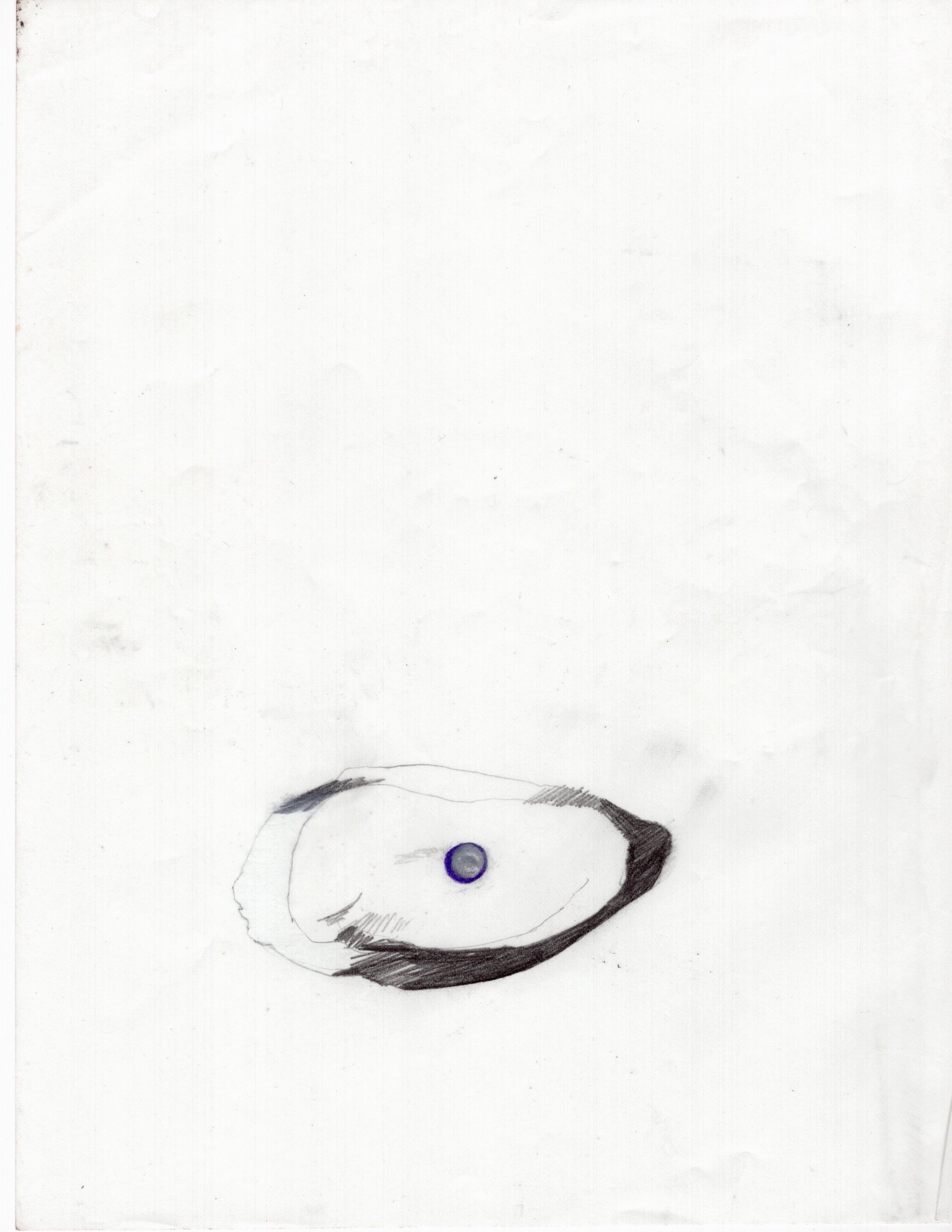 oyster