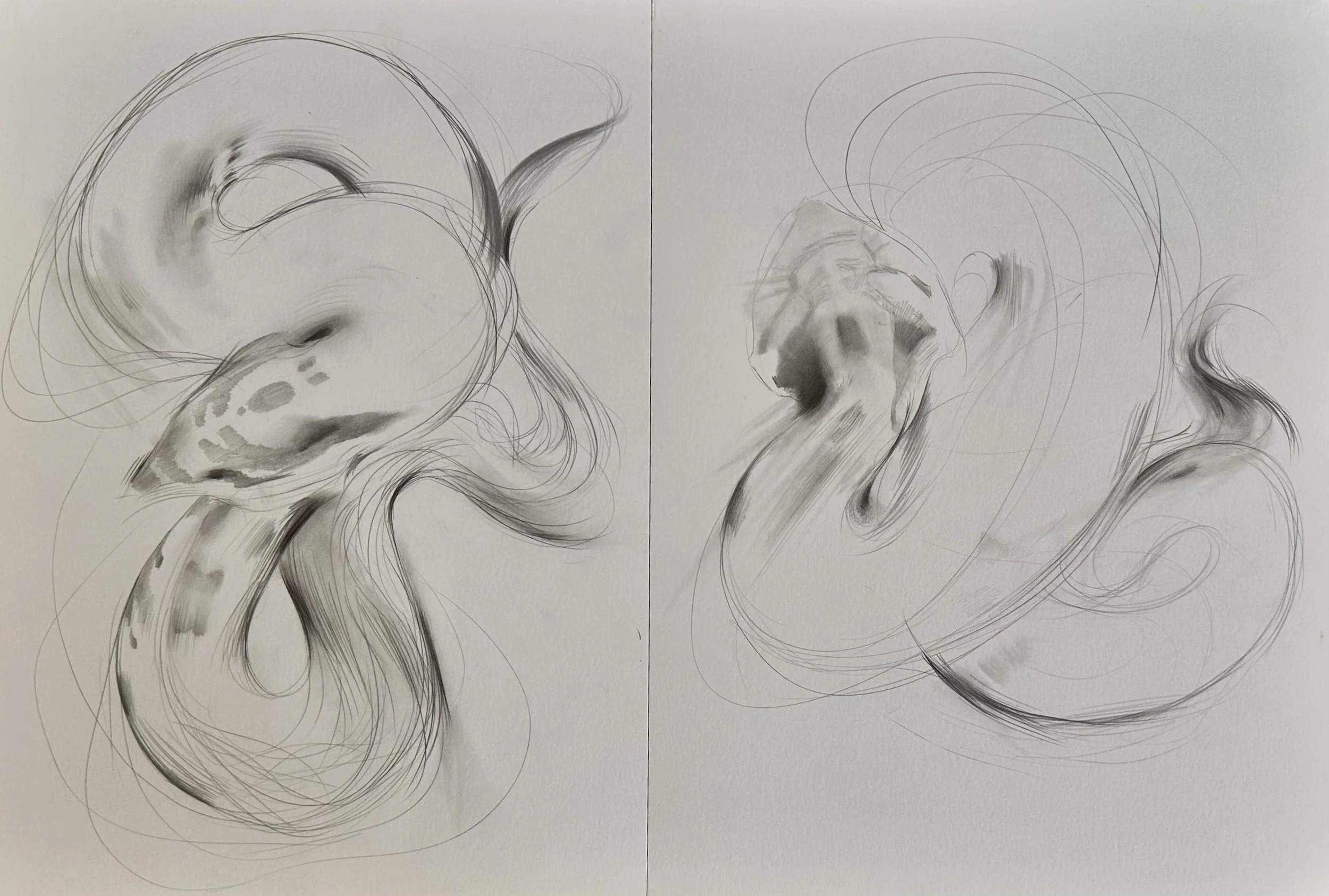 whisper (phosphenes).jpg