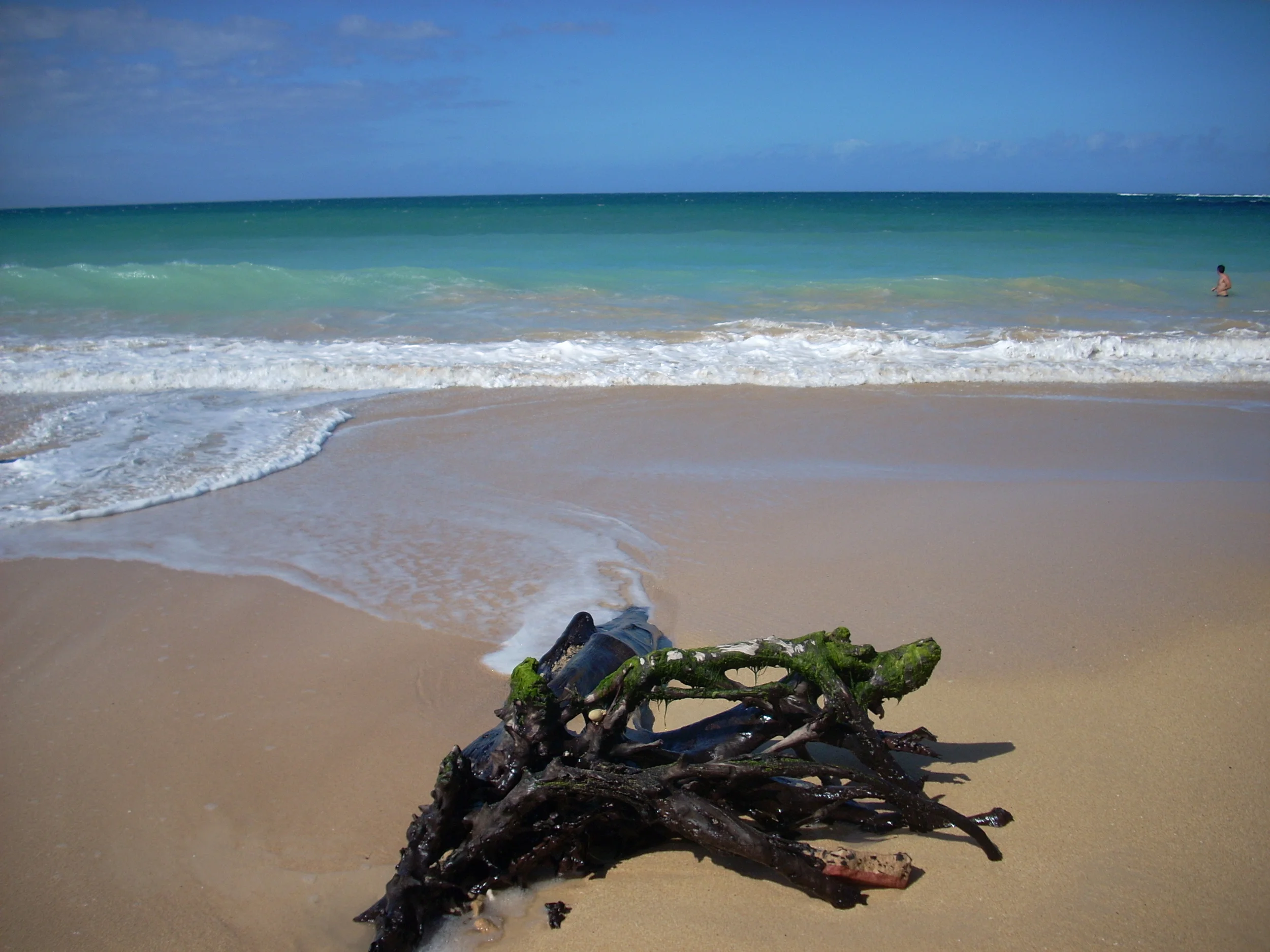 Maui, Hawaii Photo Credit: Caron Somers