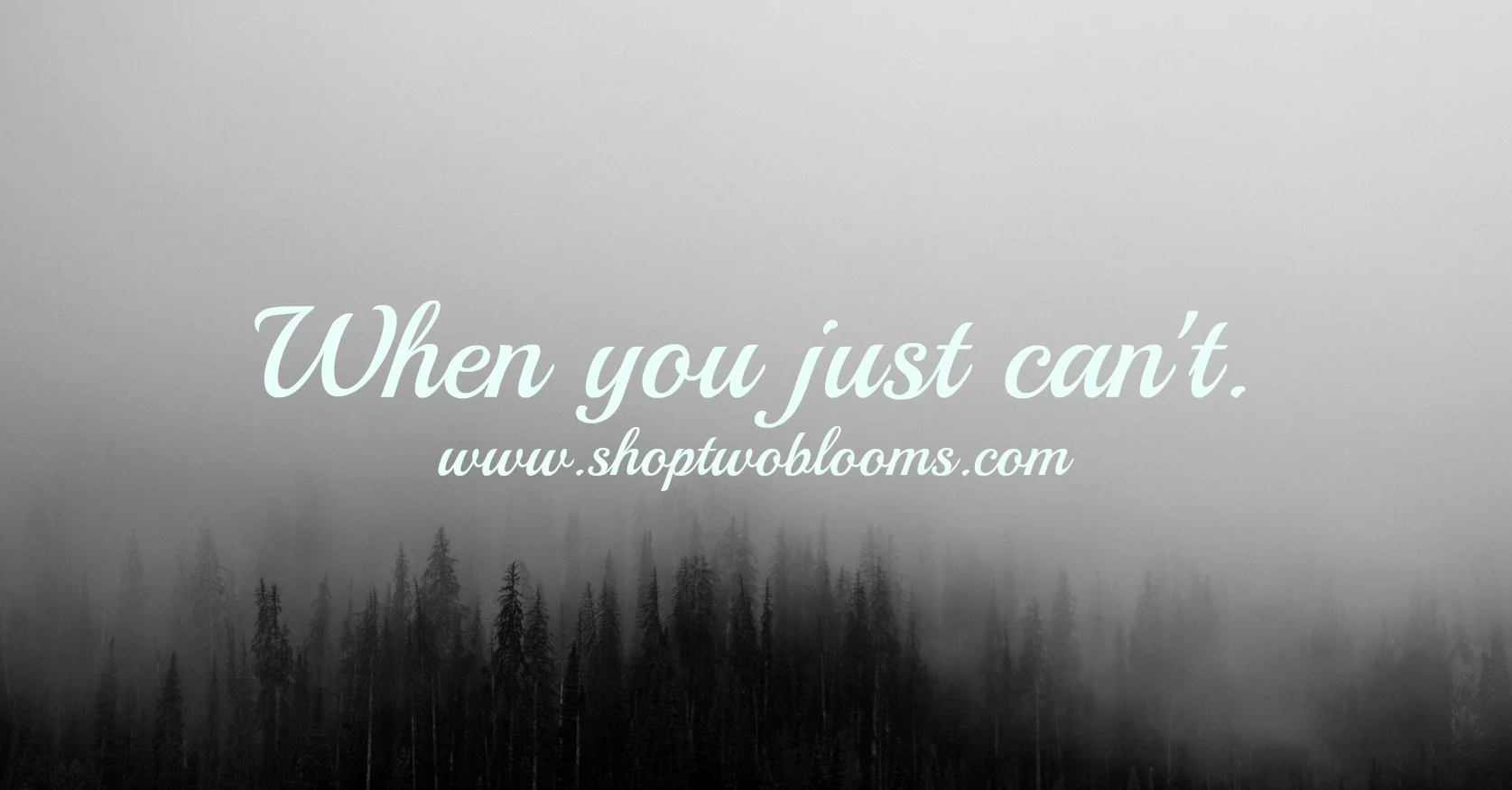 shoptwoblooms when you just can't.jpg
