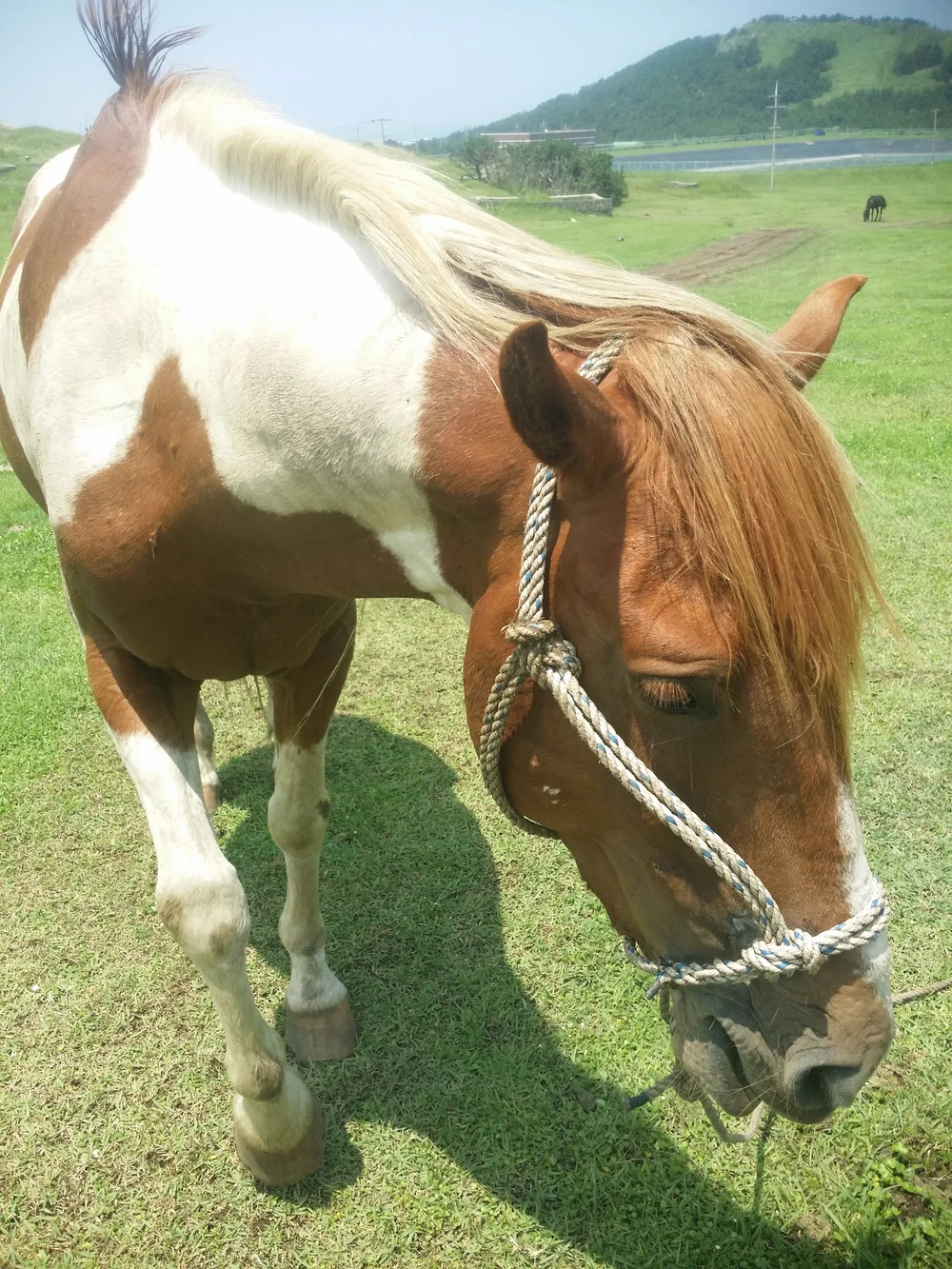 20150701_130807.jpg