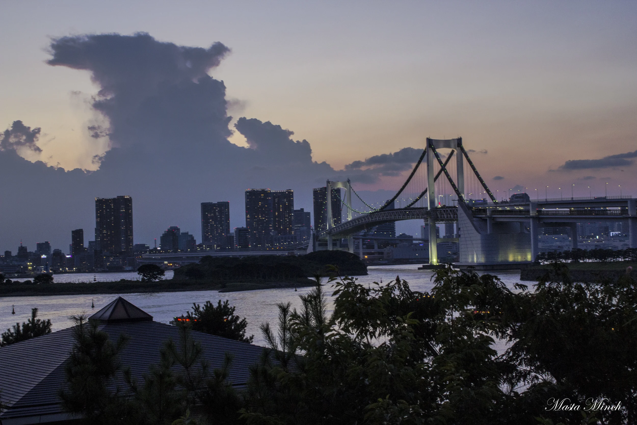 The evening view of Tokyo from Diver City.