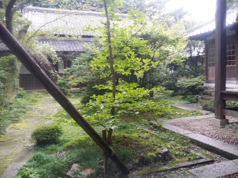 20150906_100954.jpg