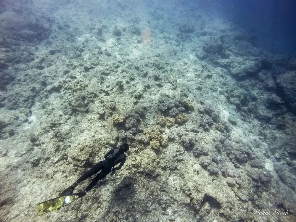 GOPR0945.jpg