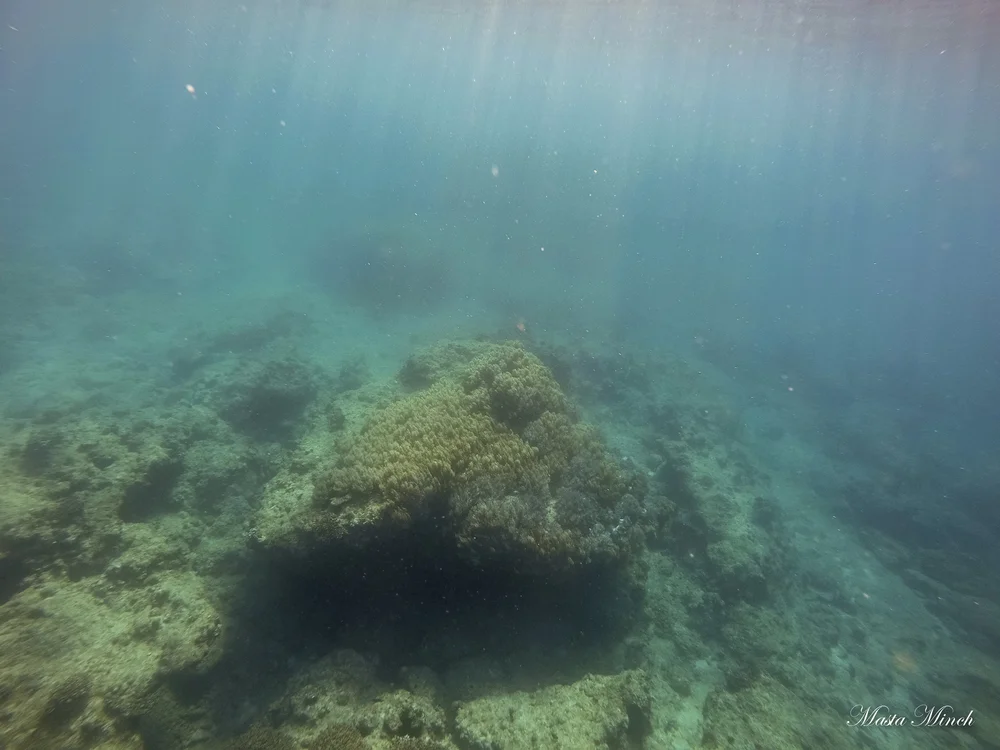 GOPR0959.jpg