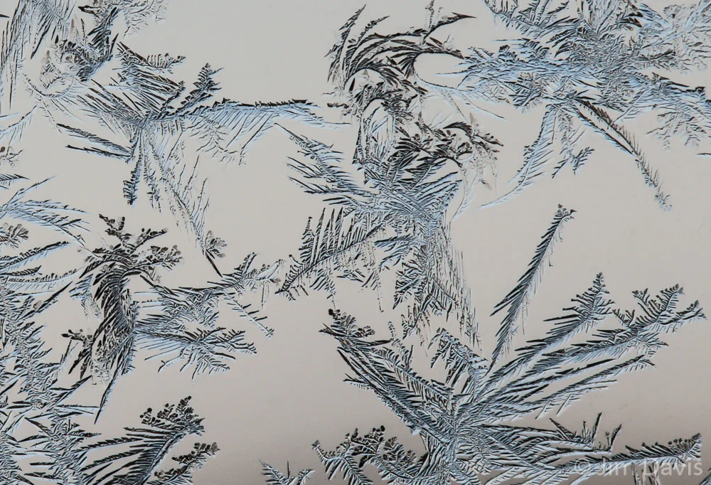 Abstract-7652.jpg