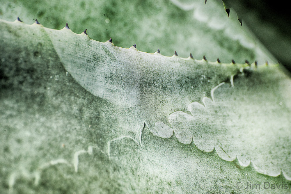 DSC_7941_HDR.jpg