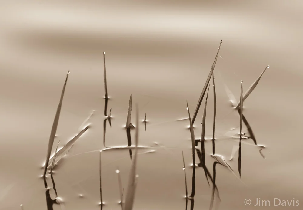 Abstract-5342.jpg
