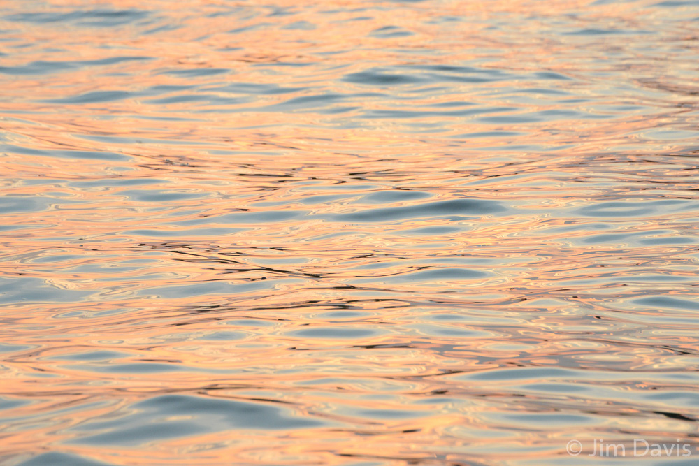 Abstract-8739.jpg