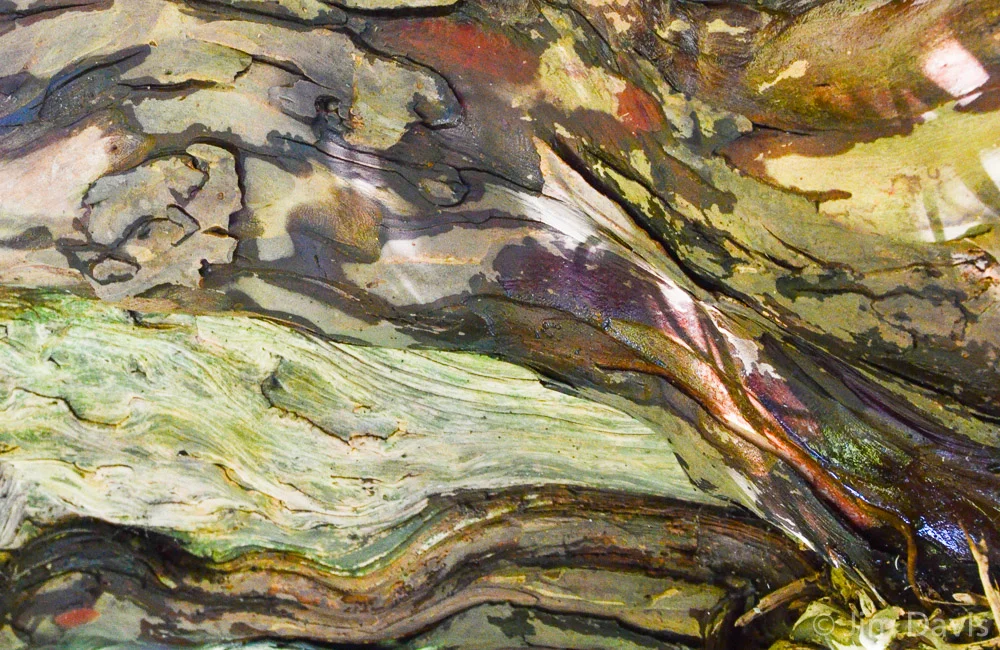 Abstract-8911.jpg
