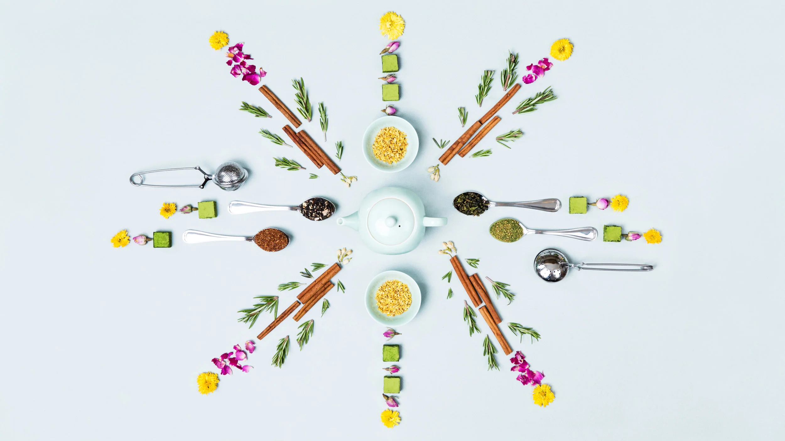 Canton Bloom-1-2.jpg