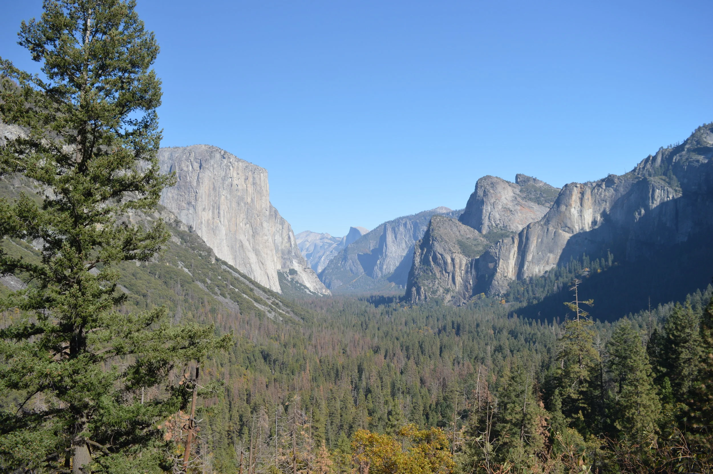 DSC_0937.JPG