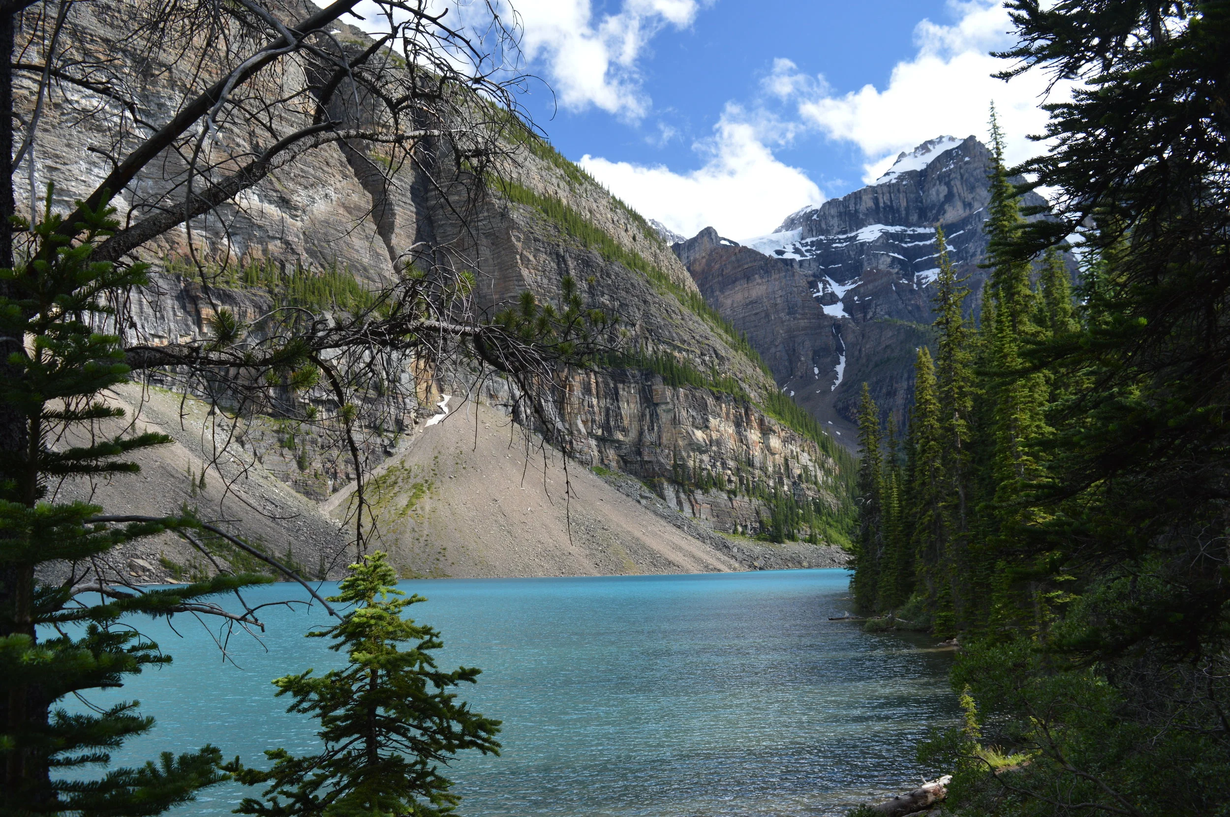 DSC_0835.JPG