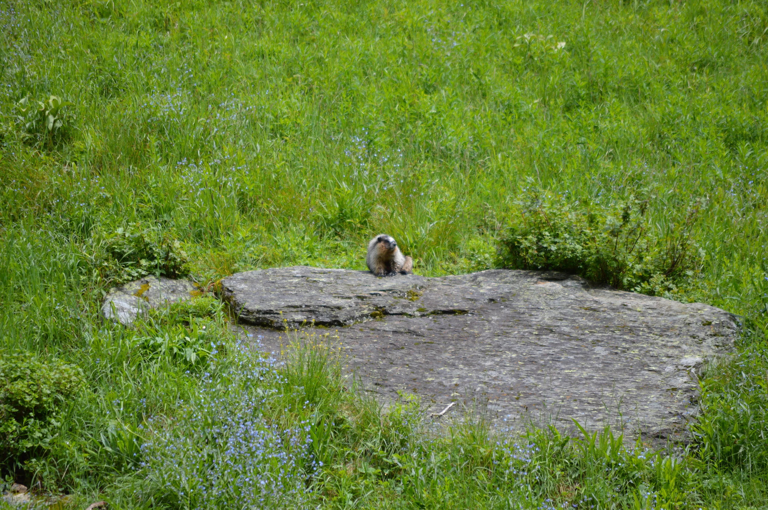 DSC_0962.JPG