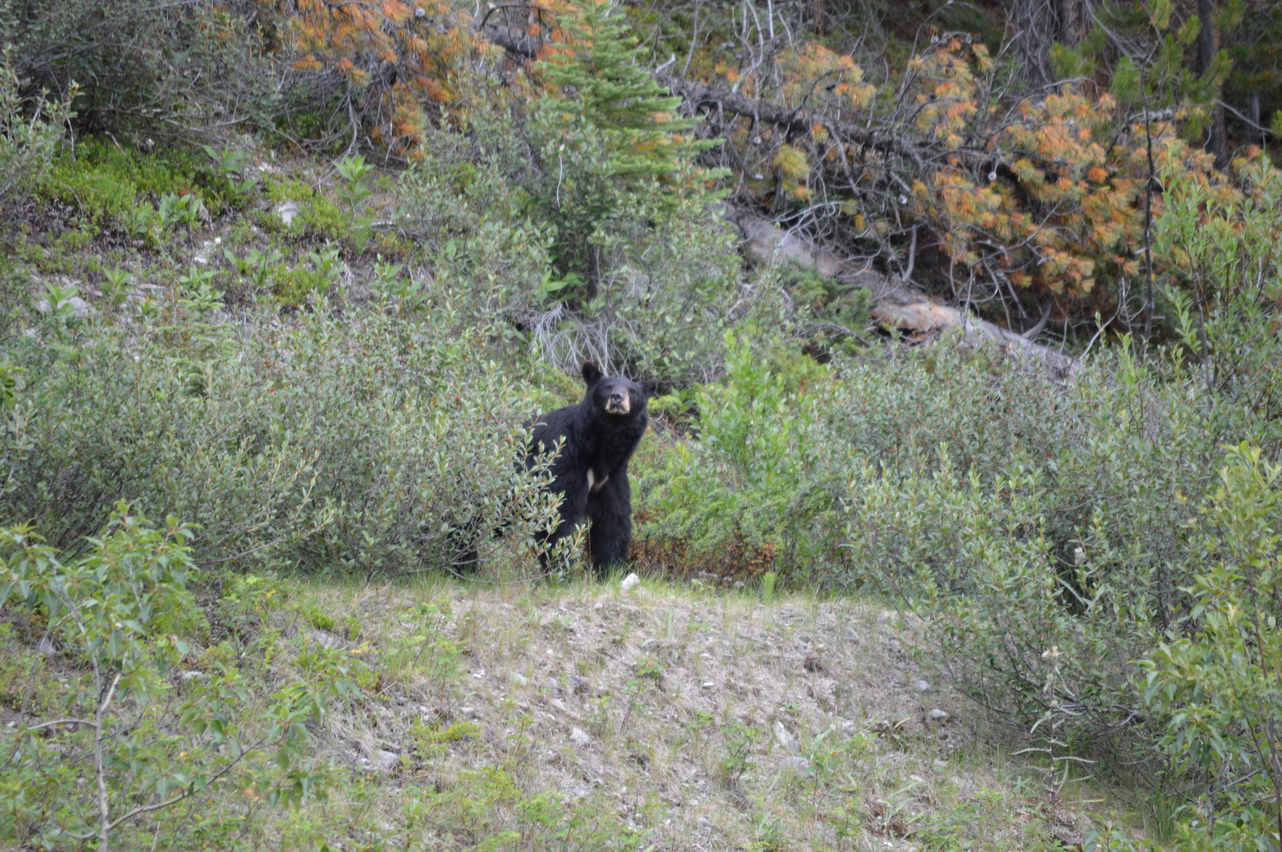 DSC_0554.JPG