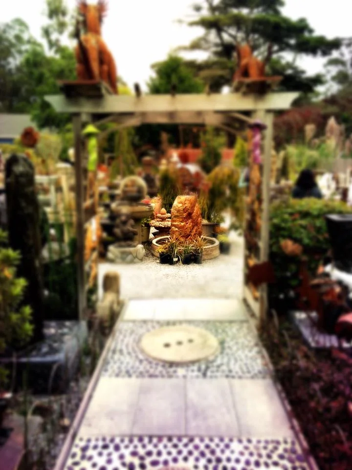 Into the garden we go....