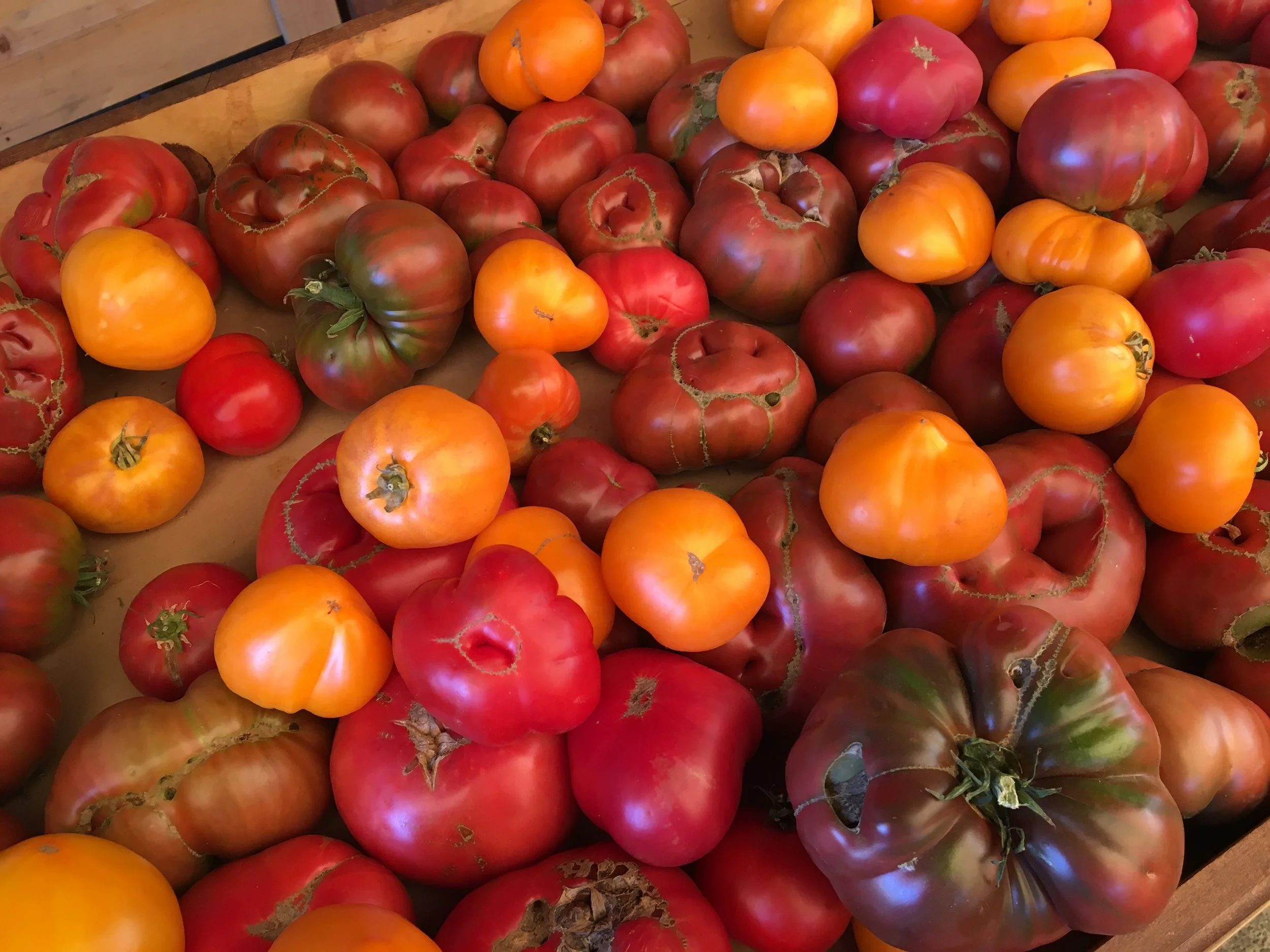 Look @ these heirloom tomatoes