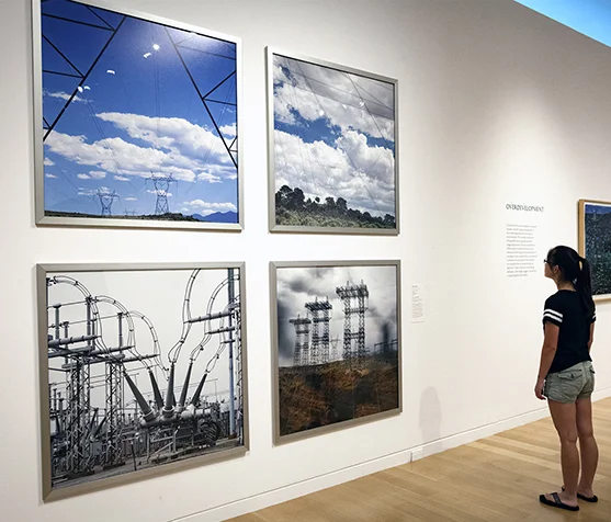 Gridlines in the Overgrowth Exhibition at Decordova Museum of Art & Sculpture 2014
