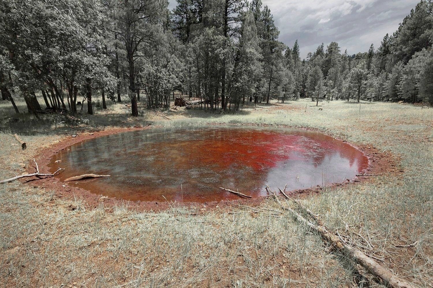34.9736 N  -111.5288 W   Accidental Red Fire Retardant  Airdrop, Weimer Springs, Coconino Forest, AZ