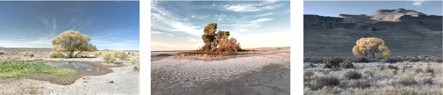 Black Rock-Sonoran-Smoke Creek Deserts