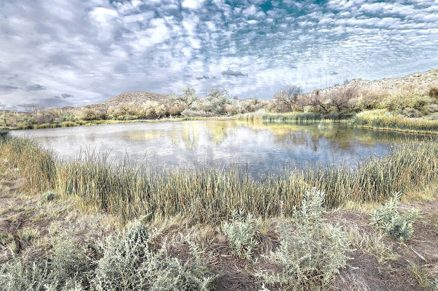 31.9428 N -133.0207 W   Late Afternoon near the US Border, 16,000 year Old Quitobaquito Springs, Sonoran Desert, AZ