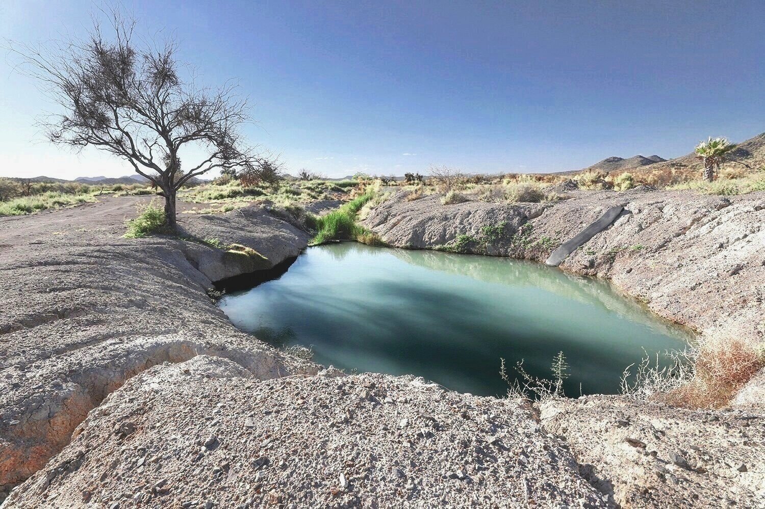 31.5133 N   -112.7511 W   Plastic-lined water hole at Quitovac Springs, Sonoran Desert, MX