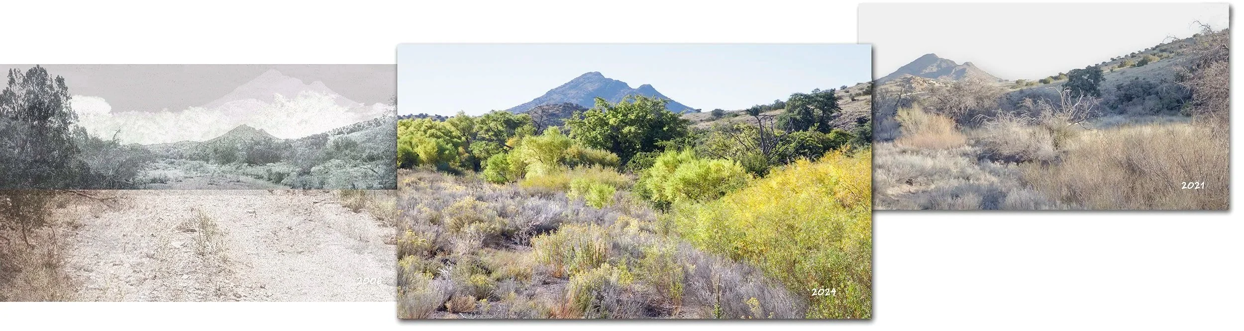 Site 10 South from Cliff 