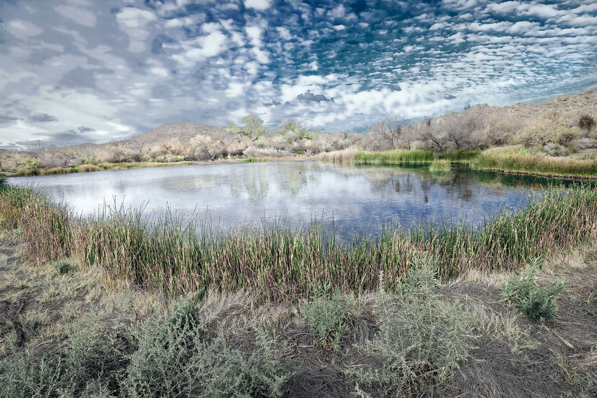 V4 QBQ for pitch copy.jpg