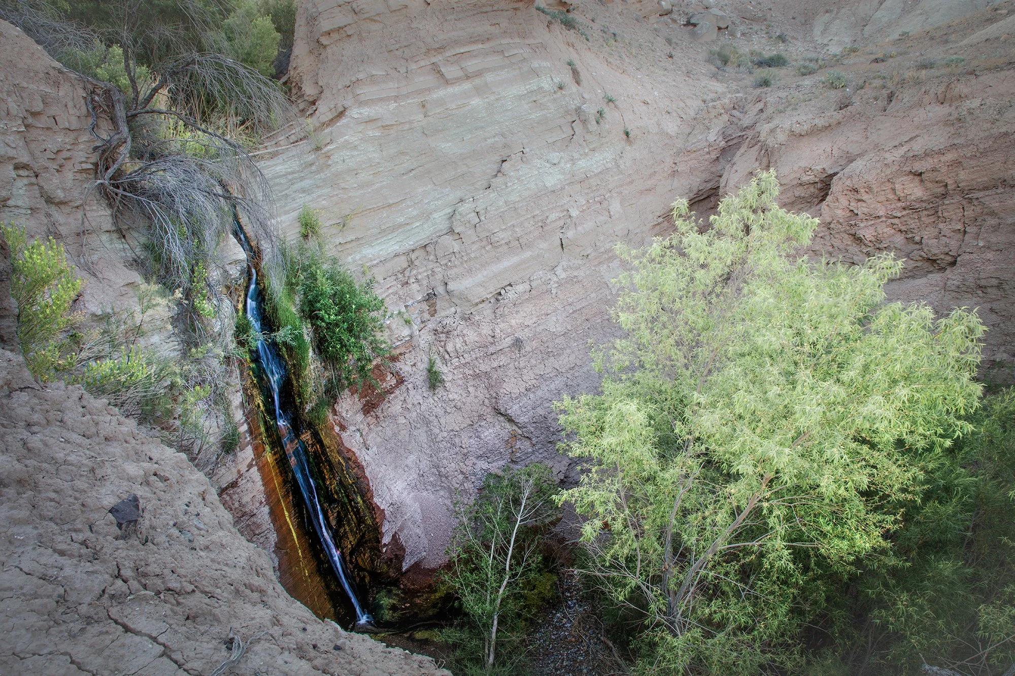 V3 Amargosa source china ranch march 25_Z2A9465 copy.jpg