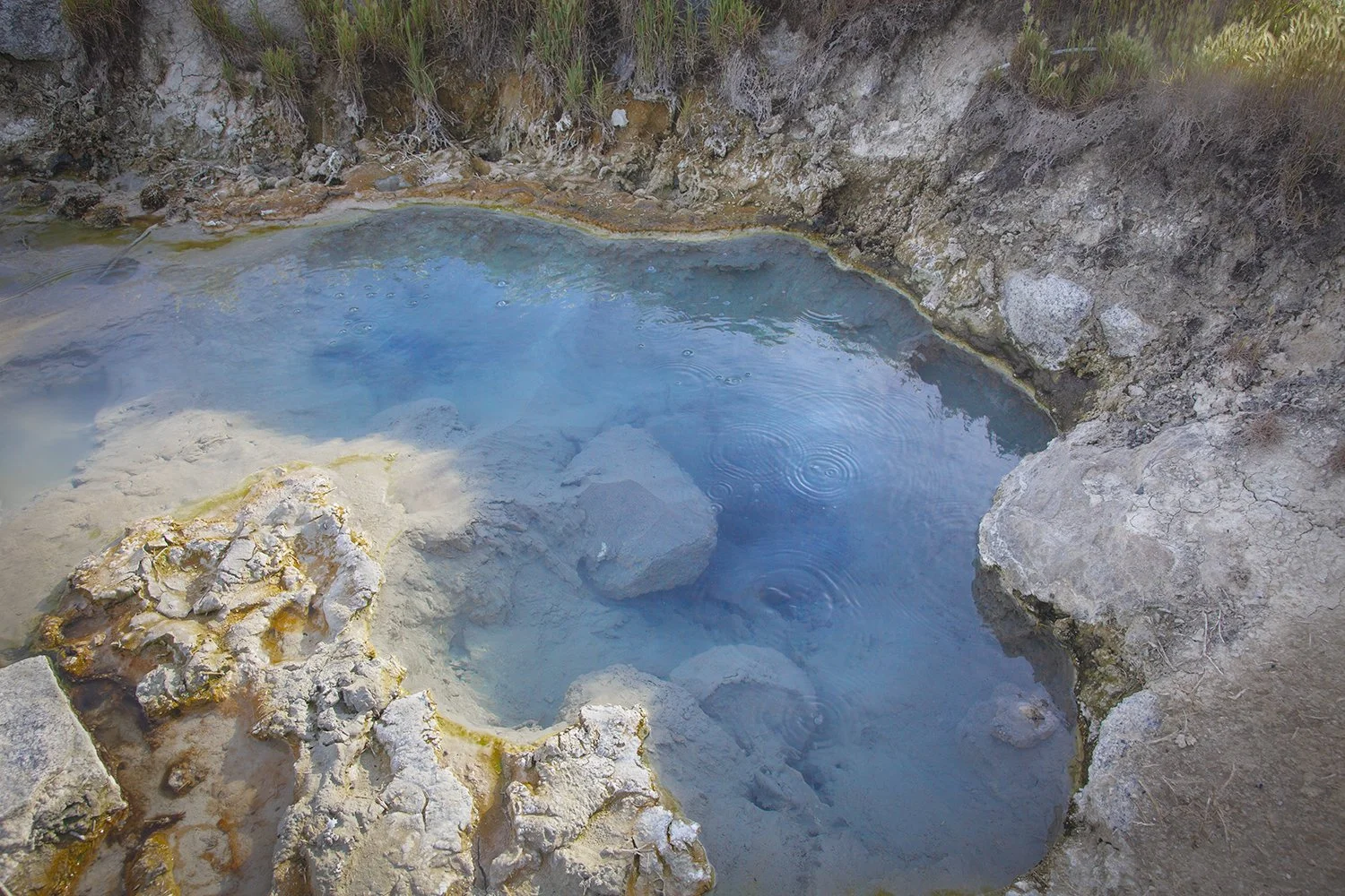 TREGO Springs_MG_0902 copy 3.jpg