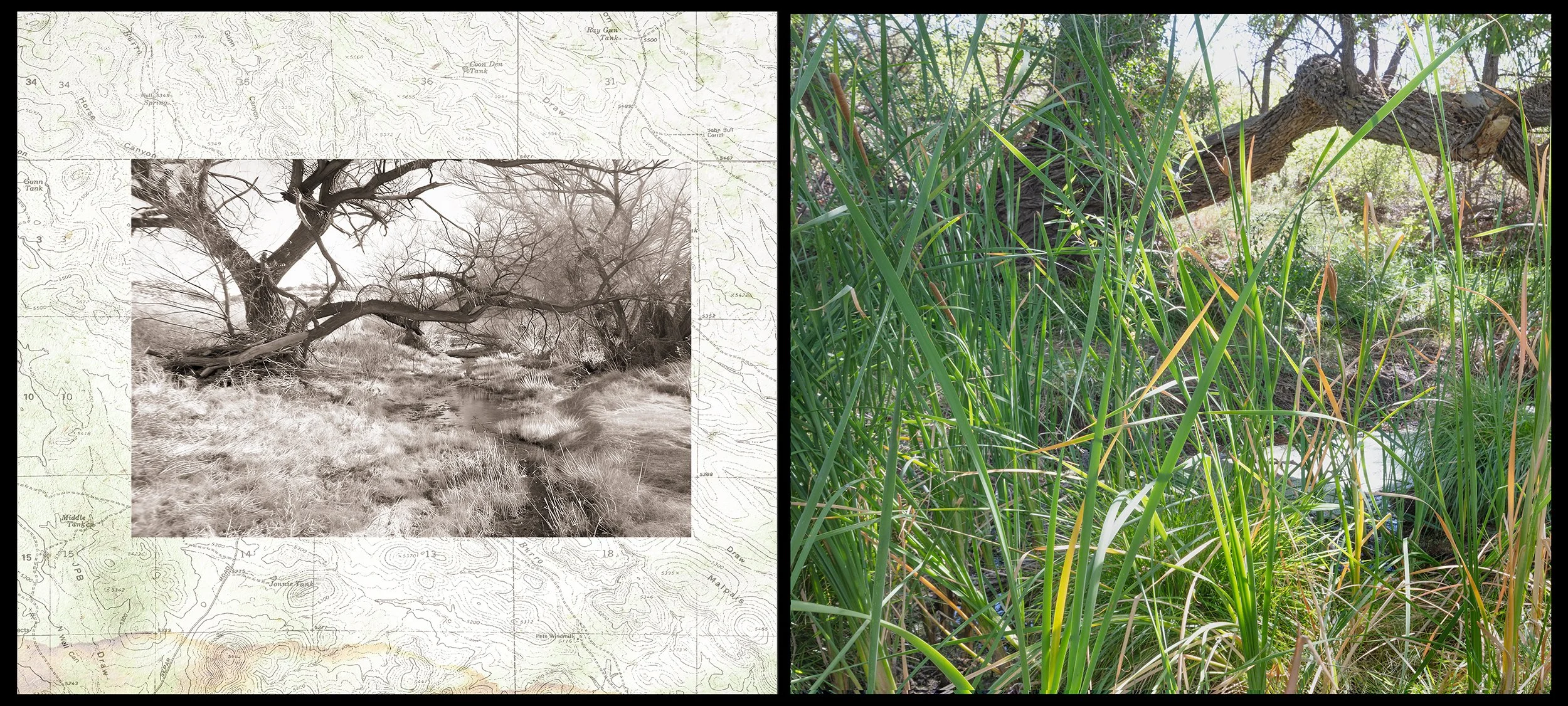 Cooper's Doubt, Burro Ciénaga, Chihuahuan Desert, New Mexico