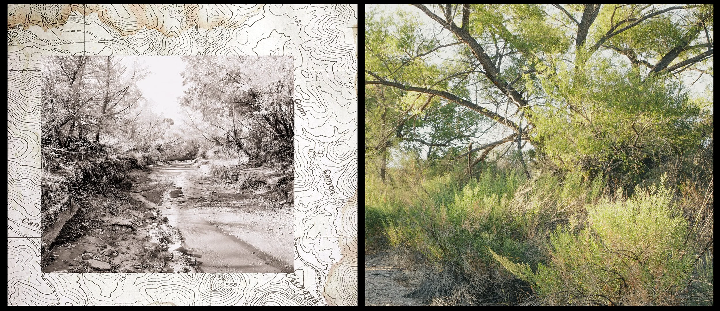Bobby's Crossing, Burro Ciénaga, Chihuahuan Desert, New Mexico